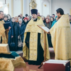 Мощи святой блаженной Матроны Московской доставлены в собор